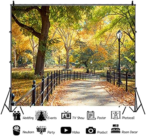 Laeacco Сентръл парк в Ню Йорк Фон за снимки 10x8 фута Цветни Фонове Есенен Ден Пейзаж Пътен Лампа Падналите Листа от Дърветата Природни Декори Студиен Реквизит За Снимки